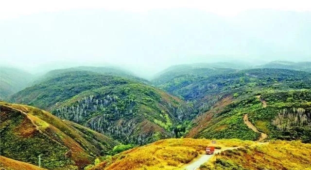 1600062124217359.jpg t01f6a93c57b802acf7.webp.jpg